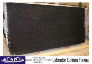 Labrador-Golden-Flakes-1