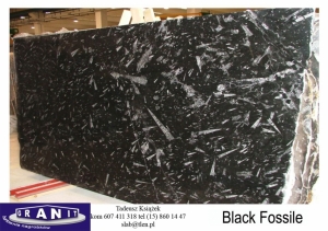 Black-Fossile