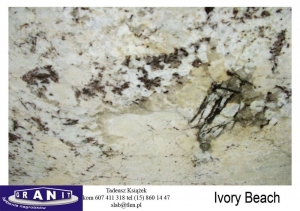 Ivory-Beach_zoom-1