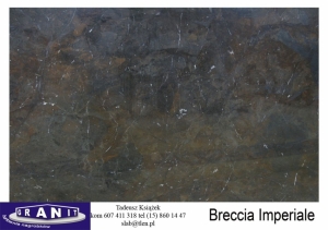 Breccia-Imperiale